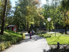 В воронежских парках и скверах продолжаются работы по благоустройству