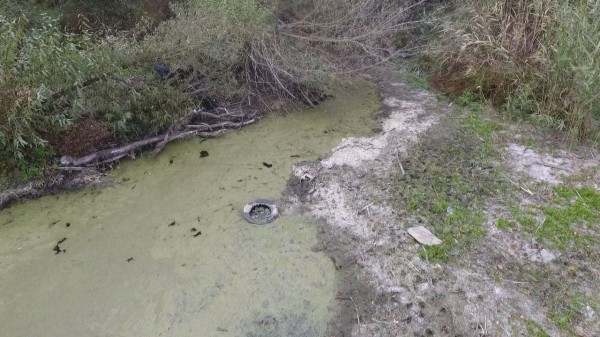 Воронежские дачники устроили свалку в любимой реке 