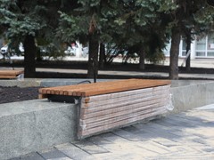 Благоустройство сквера имени Куцыгина завершат высадкой 15-ти елей