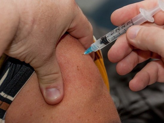 В Воронеже муниципальная система образования скоро добьется коллективного иммунитета