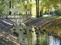 В воронежских парках и скверах продолжаются работы по благоустройству