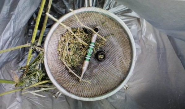 У воронежца на чердаке дома нашли 1,4 кг марихуаны и приспособления для её употребления