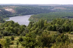 &laquo;Выбран верный курс&raquo;: представители сферы туризма оценили инициативы воронежского губернатора по развитию отрасли