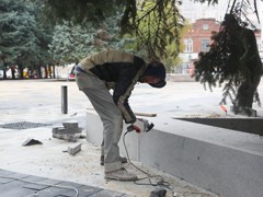 Благоустройство сквера имени Куцыгина завершат высадкой 15-ти елей