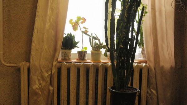 Итоги недели. Что важного произошло в Воронеже с 27 сентября по 3 октября