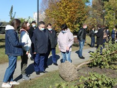 В парке Патриотов высадили клены и липы