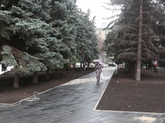 Благоустройство сквера имени Куцыгина завершат высадкой 15-ти елей