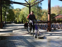 В воронежских парках и скверах продолжаются работы по благоустройству