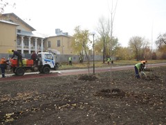 В благоустроенном парке &laquo;Мостозавода&raquo; высадили липы, рябины, клены и ели