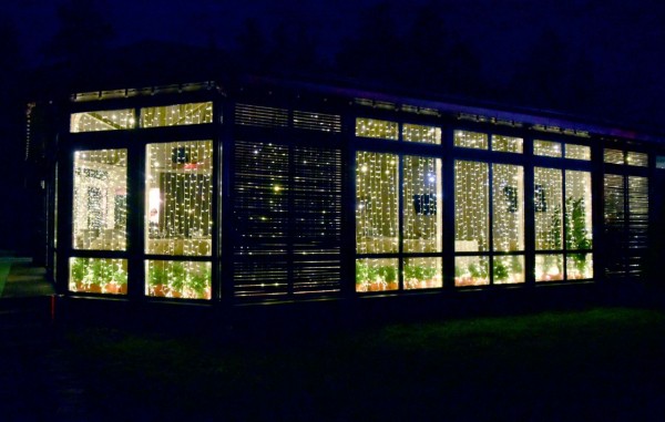 &laquo;Обстановка меняется&raquo;. Что показал ночной антиковидный рейд по заведениям