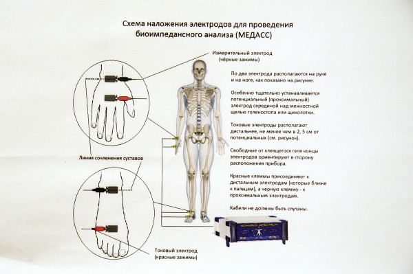 За медалями &ndash; с прибором. В Воронеже началось современное тестирование будущих чемпионов