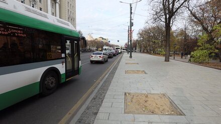 На главной улице Воронежа на сутки перекроют тротуары