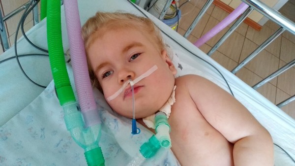 Итоги недели. Что важного произошло в Воронежской области с 25 по 31 октября