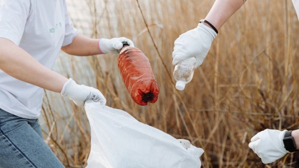Рост объема отходов в Воронежской области связали с эффективной системой сбора ТКО