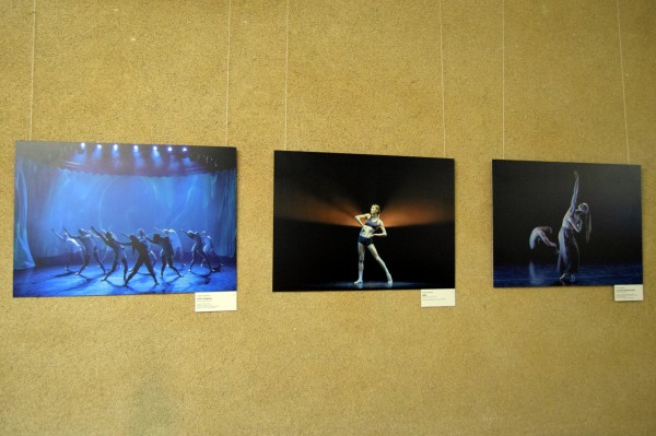 Танец в объективе. В Воронеже открылась фотовыставка о балете и современной хореографии