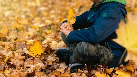 Пропавшего под Воронежем 11-летнего мальчика нашли живым