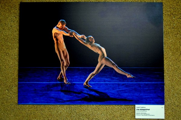 Танец в объективе. В Воронеже открылась фотовыставка о балете и современной хореографии