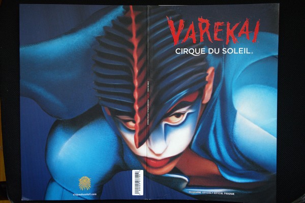 &laquo;Цирк засасывает&raquo;. Как воронежский акробат-чемпион работал в &laquo;Дю Солей&raquo;