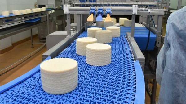 Итоги недели. Что важного произошло в Воронежской области с 25 по 31 октября