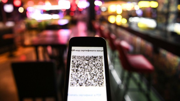 Систему QR-кодов распространили на учреждения культуры и спорта в Воронежской области