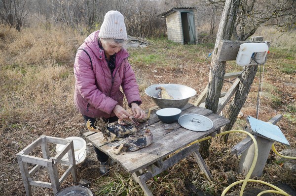 Заброшенные хутора: как пустеют воронежские деревни. Иловка