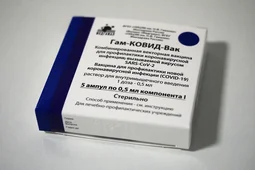 Воронежцев с QR-кодами о перенесенном COVID-19 пустят на матч &laquo;Факела&raquo;