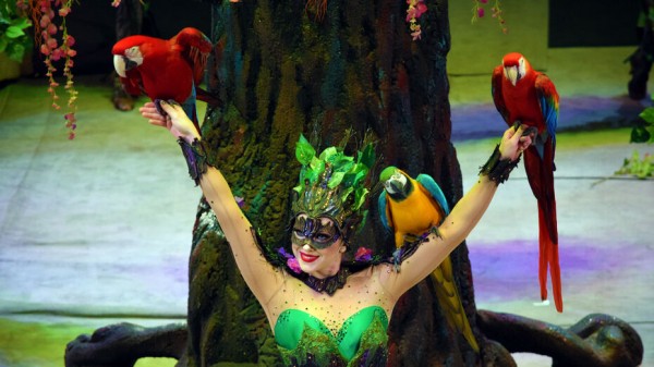 Воронежских школьников за отличную учебу поощрят бесплатными билетами в цирк