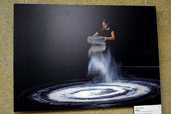 Танец в объективе. В Воронеже открылась фотовыставка о балете и современной хореографии