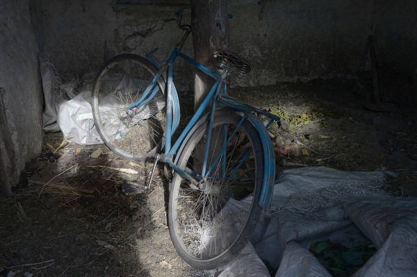 Заброшенные хутора: как пустеют воронежские деревни. Иловка