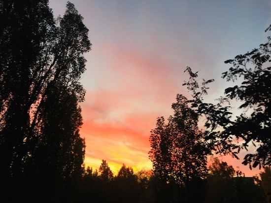 В субботу воронежцев ждет хмурый, но приятный день