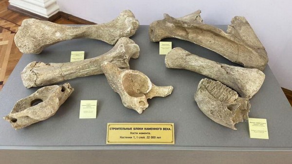 Воронежские &laquo;Костенки&raquo; представят в Белгороде выставку о первопроходцах каменного века