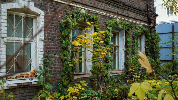 В Воронеже приведут в порядок 14 домов &ndash; памятников истории