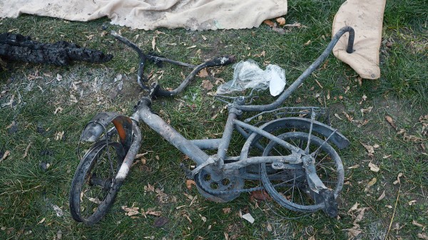 Итоги недели. Что важного произошло в Воронежской области с 15 по 21 ноября