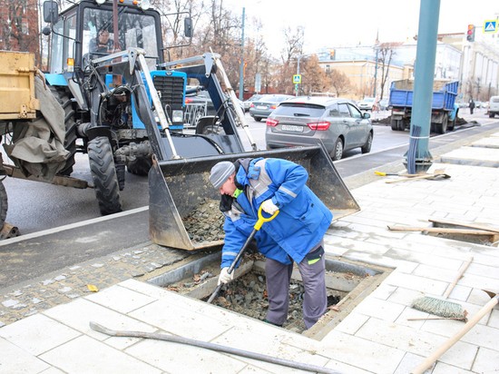 В Воронеже в среду продолжилась посадка кленов на проспекте Революции