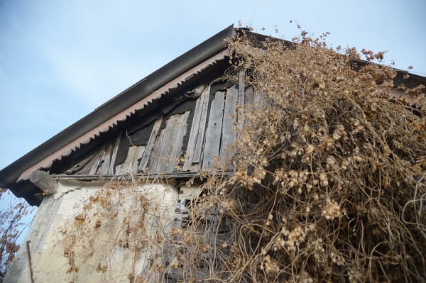 Заброшенные хутора: как пустеют воронежские деревни. Иловка