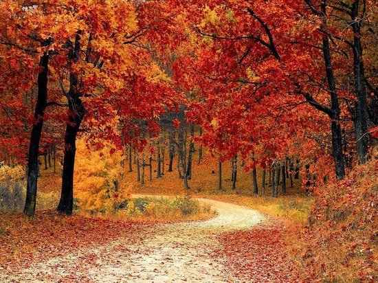 Лунный календарь на пятницу: отличный день для траты денег