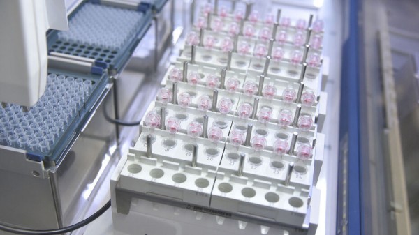 Роспотребнадзор объяснил случаи отрицательного теста у больных коронавирусом