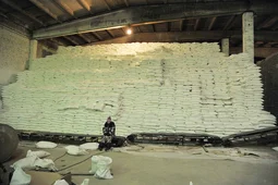 Воронежская область вошла в число лидеров по производству плодово-ягодной продукции