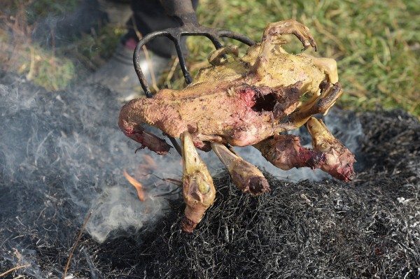 Заброшенные хутора: как пустеют воронежские деревни. Иловка