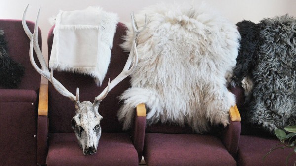 В музей и театр &ndash; не выходя из дома. В Воронеже анонсировали программу &laquo;Ночи искусств&raquo; онлайн