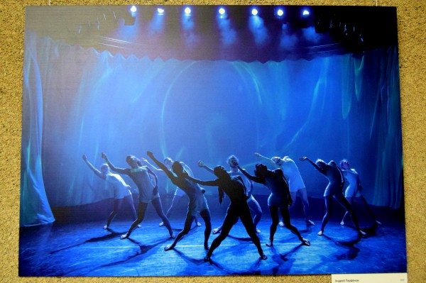 Танец в объективе. В Воронеже открылась фотовыставка о балете и современной хореографии