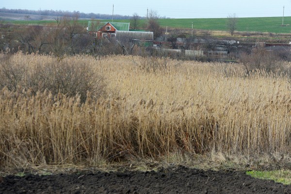 Заброшенные хутора: как пустеют воронежские деревни. Иловка