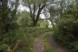 Воронежский губернатор призвал вводить особый противопожарный режим раньше