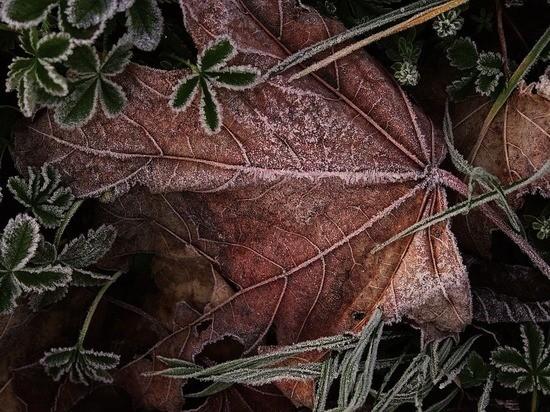 В среду воронежцев ждет солнечная, но промозглая погода