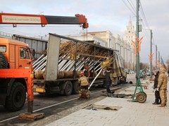 На проспекте Революции высажены первые клены