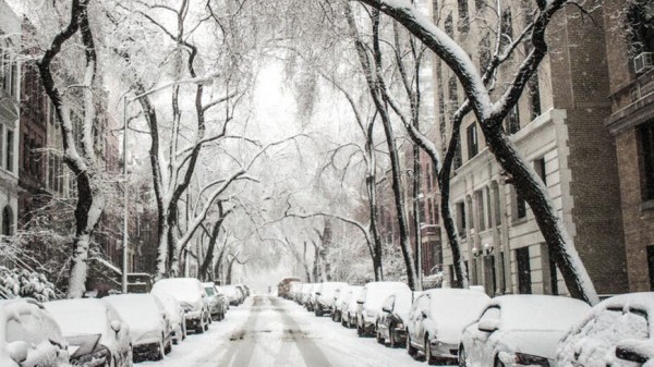 Теплая погода вернется в Воронежскую область в ближайшие выходные
