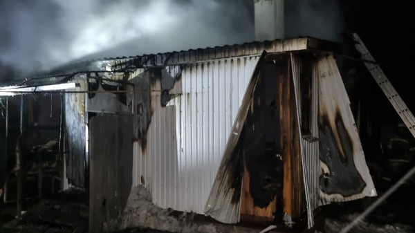 Пенсионерка погибла при пожаре в лискинском селе Путчино