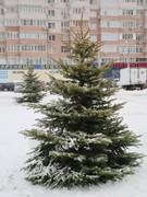 В Ленинском районе завершилось благоустройство сквера &laquo;Мирный&raquo;