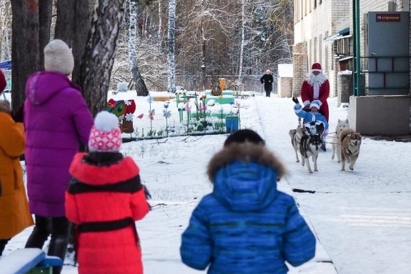 Катание на хаски и праздник двора. Как воронежские родители радуют детей на Новый год