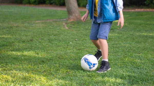 В Воронеже ищут подрядчика для охраны городских парков в 2022 году В Воронеже ищут подрядчика для охраны городских парков в 2022 году